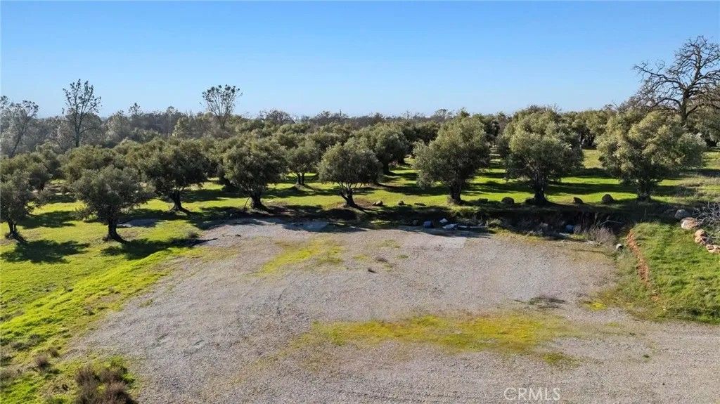 Photo of 7300 Lower Wyandotte Rd, Oroville, CA 95966 (MLS # PA26010125)