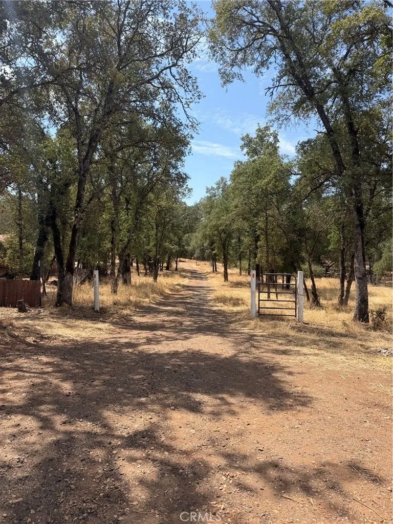 2771 Pinecrest