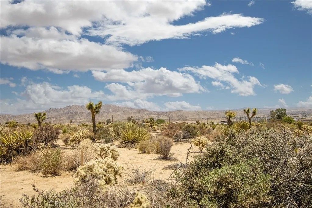 Photo of 61246 Melton Trl, Joshua Tree, CA 92252 (MLS # JT26099141)