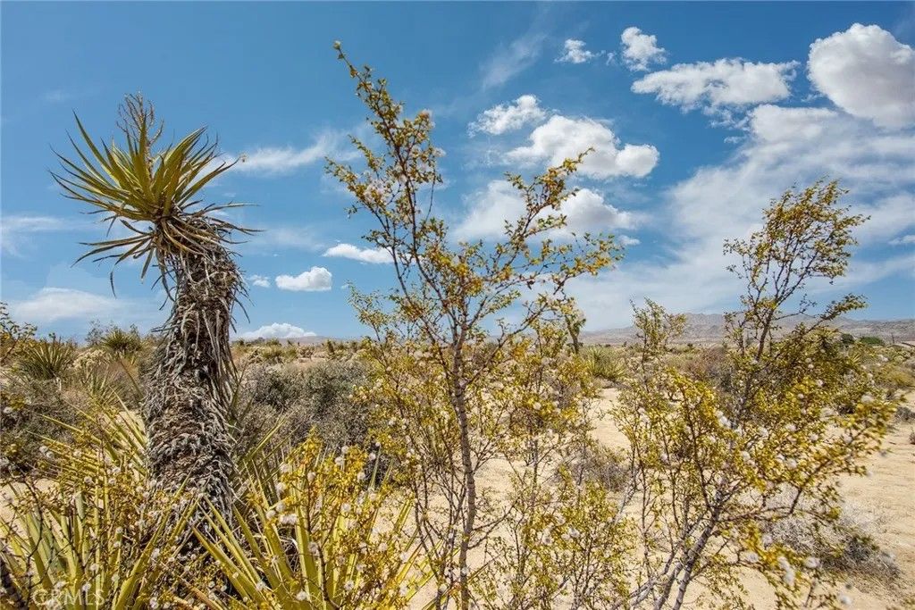 Photo of 61246 Melton Trl, Joshua Tree, CA 92252 (MLS # JT26099141)