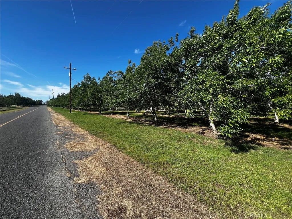4180 COUNTY 203