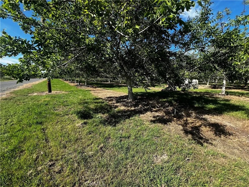 4180 COUNTY 203