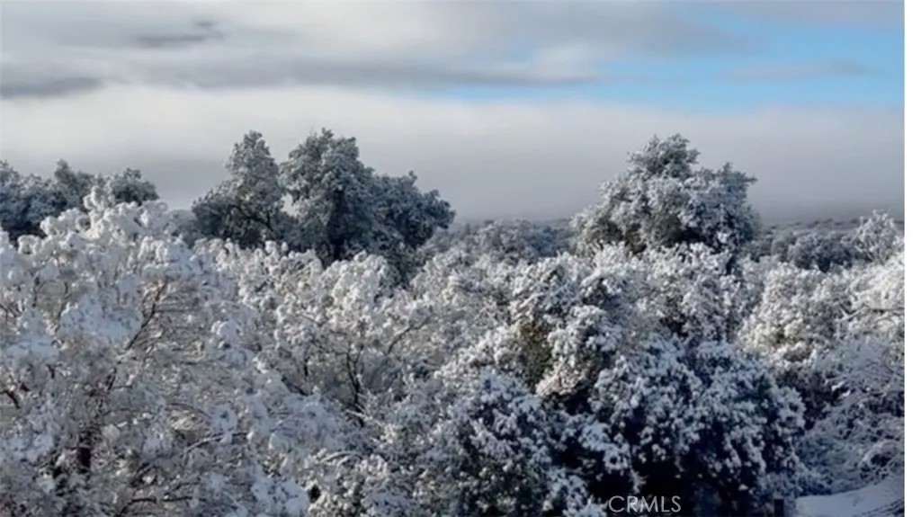 29820 Chihuahua Valley