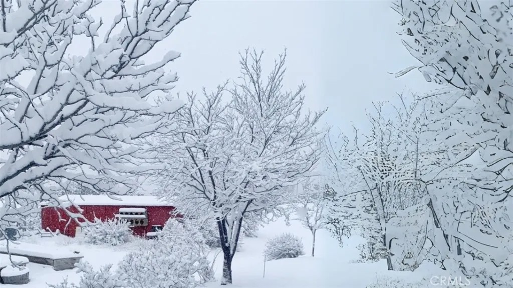 29820 Chihuahua Valley