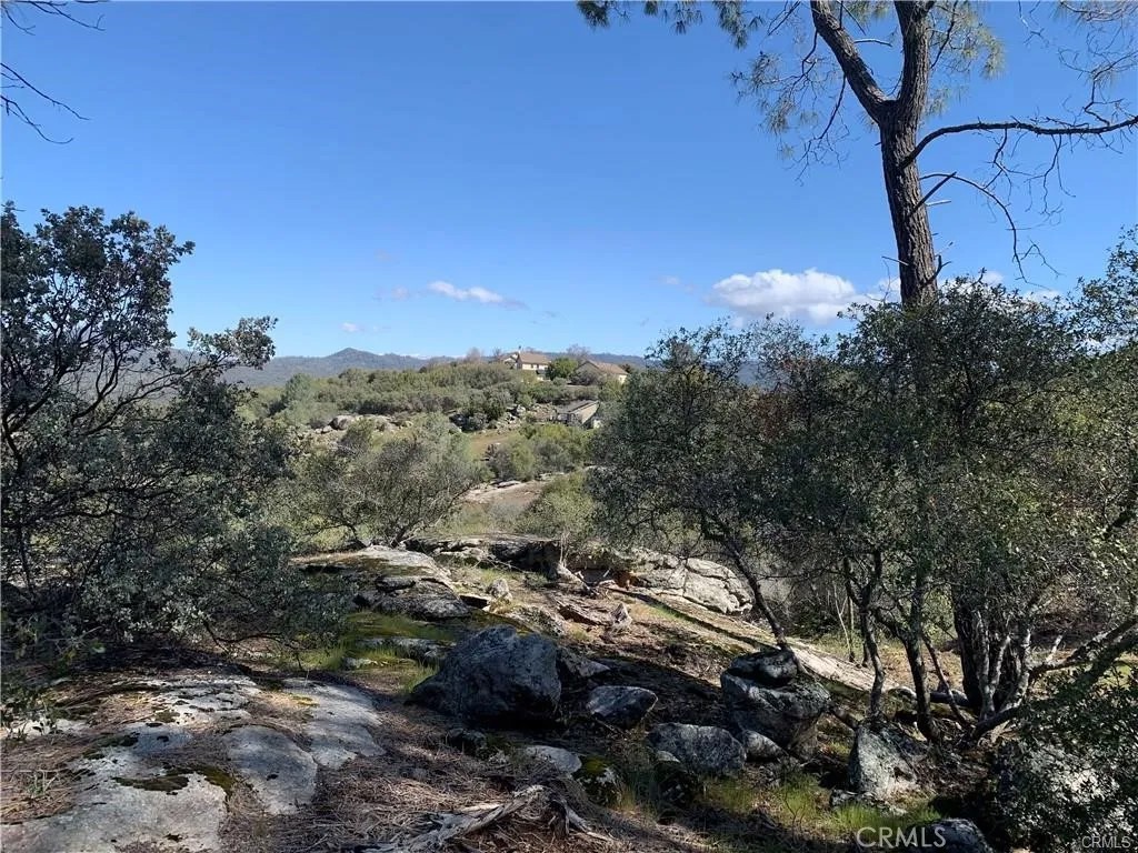 123 Quartz Mountain