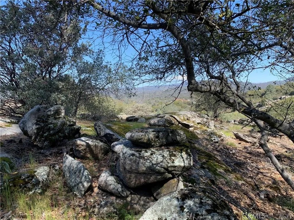 123 Quartz Mountain