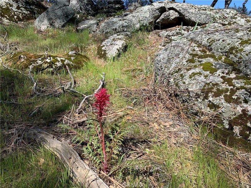 123 Quartz Mountain