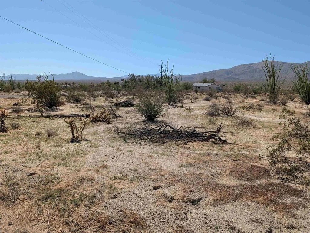 Photo of Rango, Borrego Springs, CA 92004 (MLS # NDP2511384)