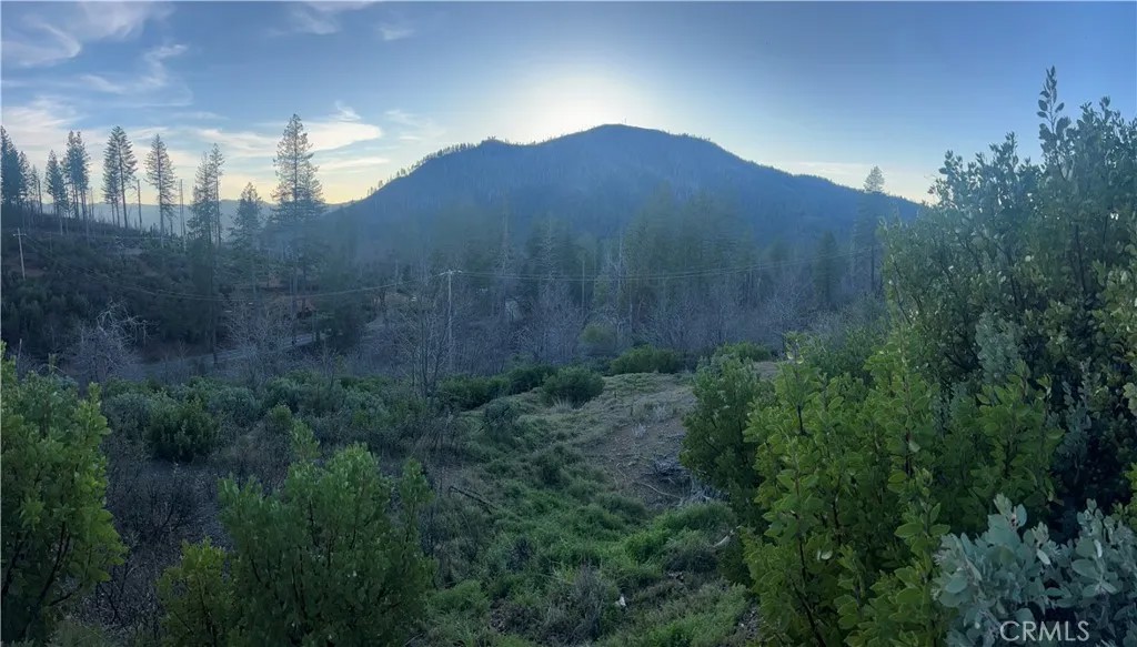 16710 Starview Loop Rd