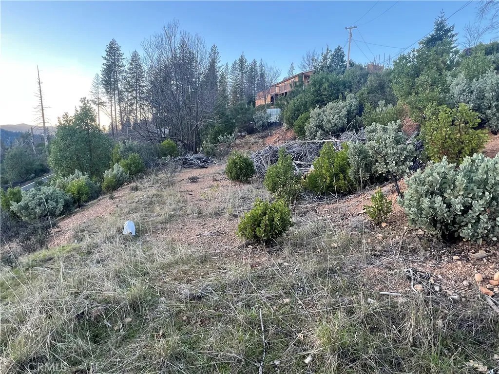 16710 Starview Loop Rd
