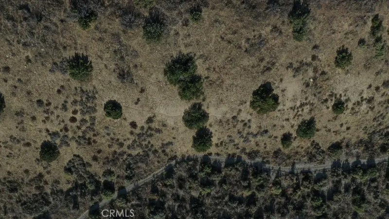 108 Angeles Forest