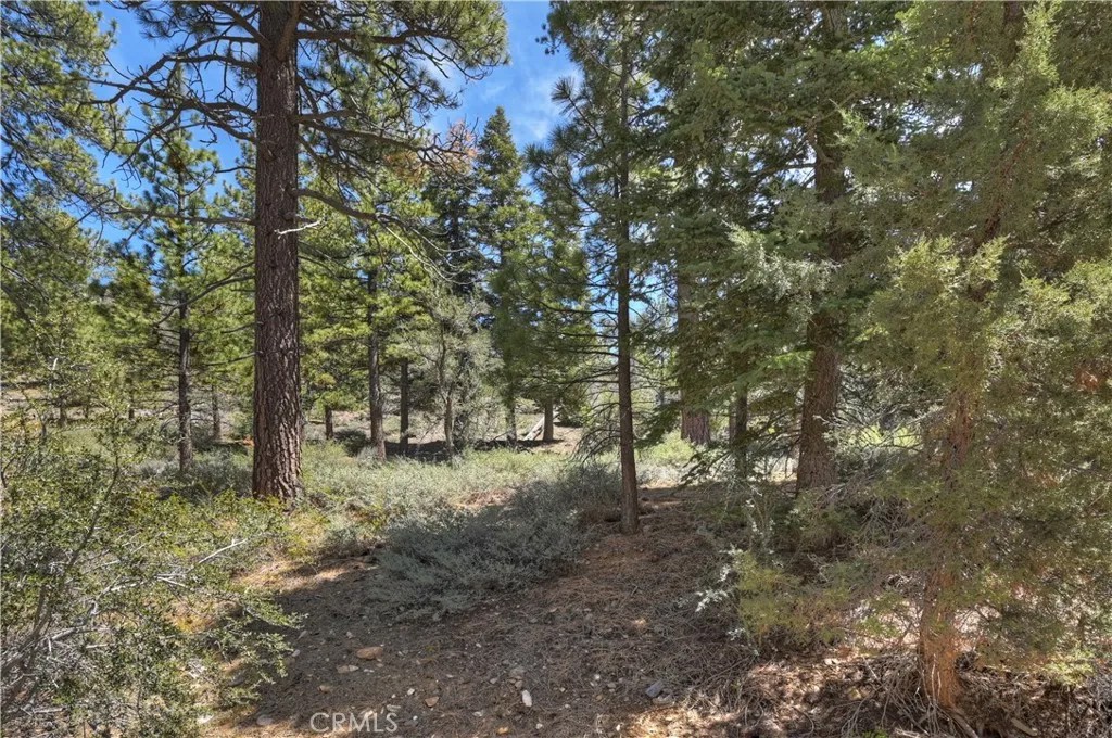 1099 Canyon