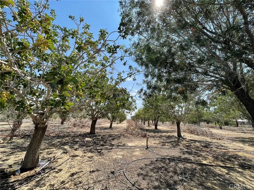 10849 Barstow Road