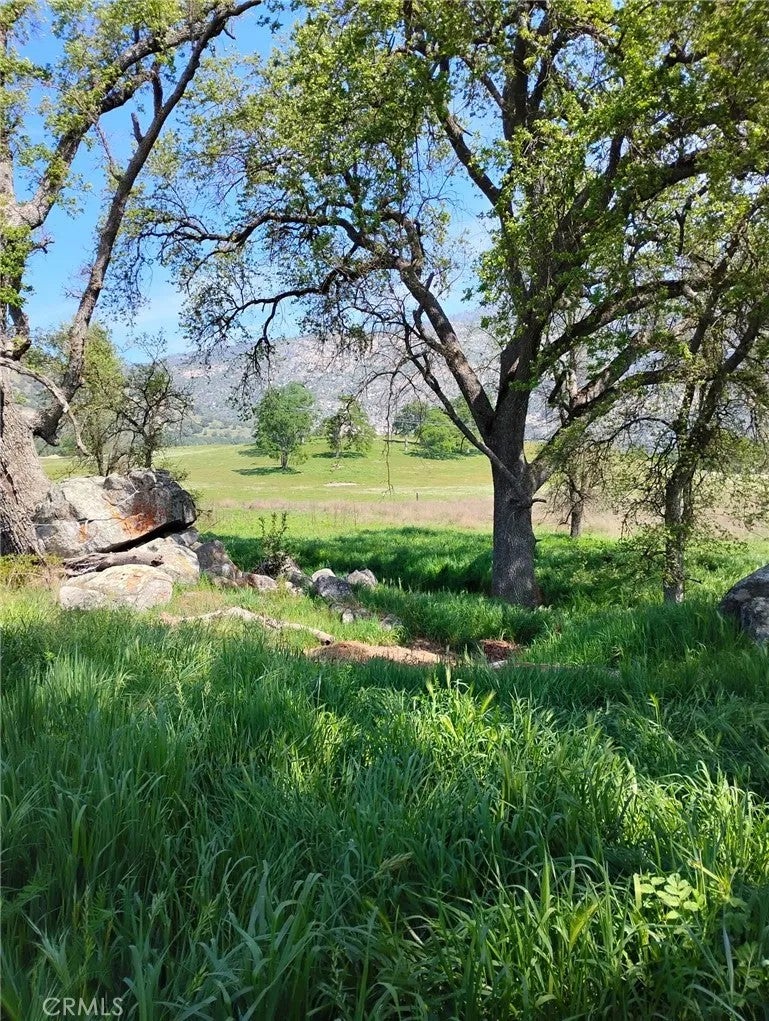 35400 Spanish Oak