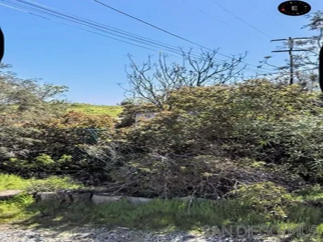 1000 Mountain View 79