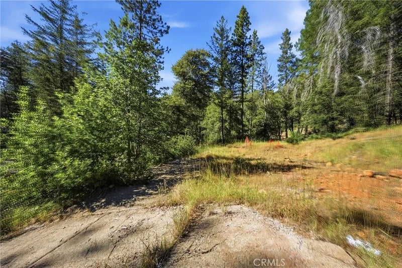 16132 Ponderosa