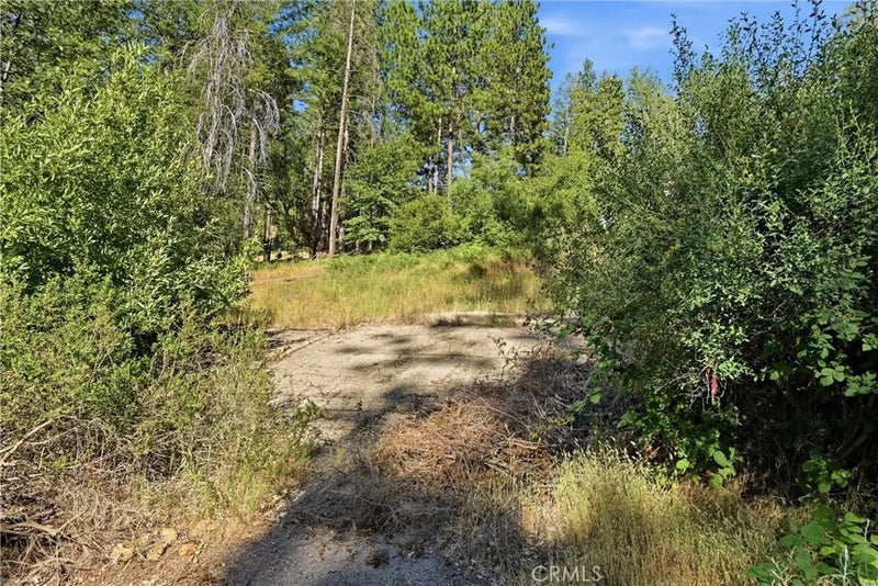 16132 Ponderosa