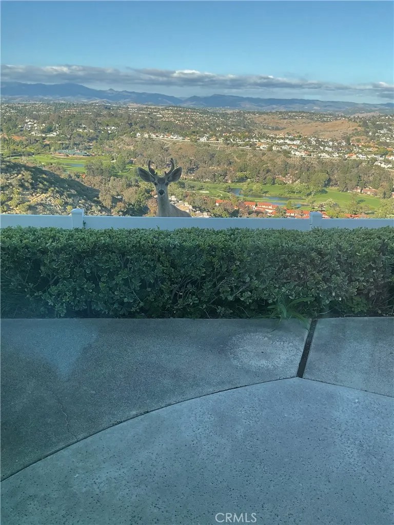 31422 Flying Cloud Drive