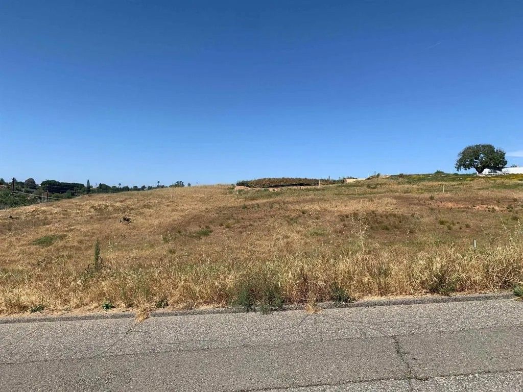 Photo of 4 Camino De Nog, Fallbrook, CA 92028 (MLS # NDP2602827)