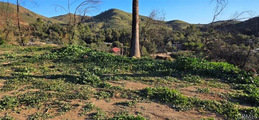 13720 Monte Vista