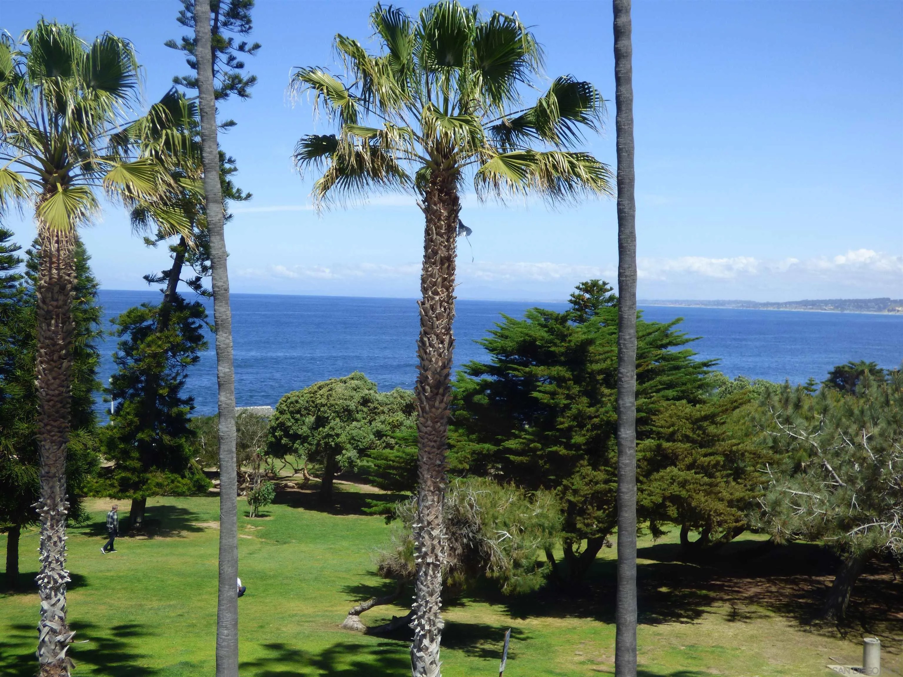 8040 Girard Avenue 6