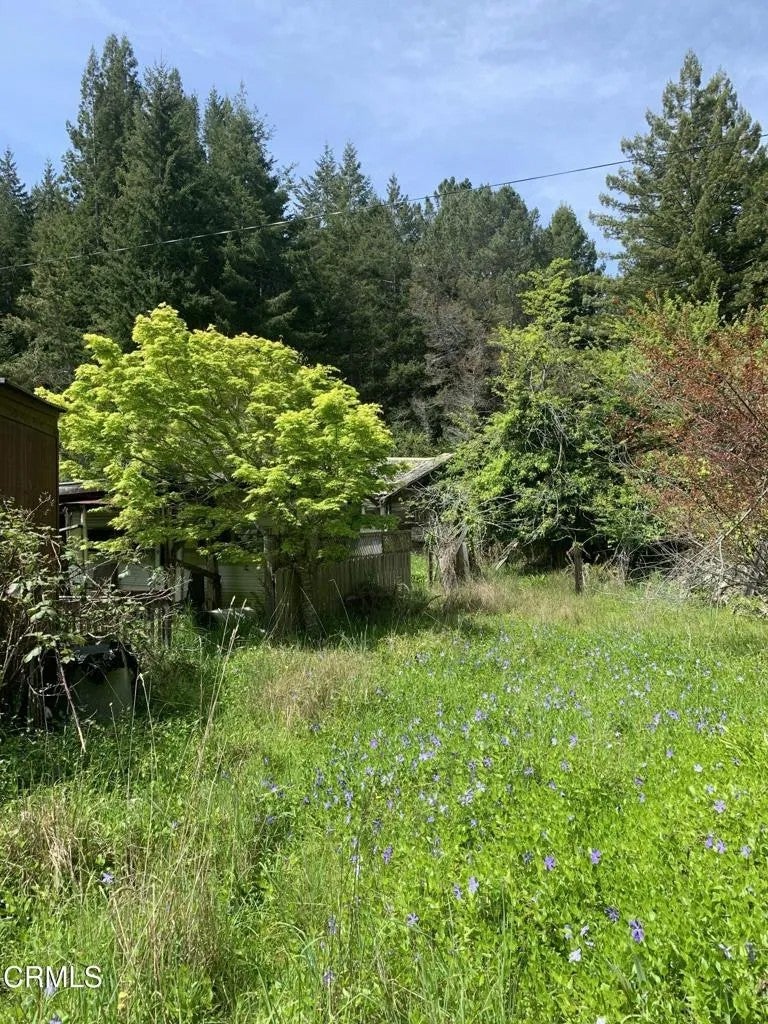 23501 Branscomb