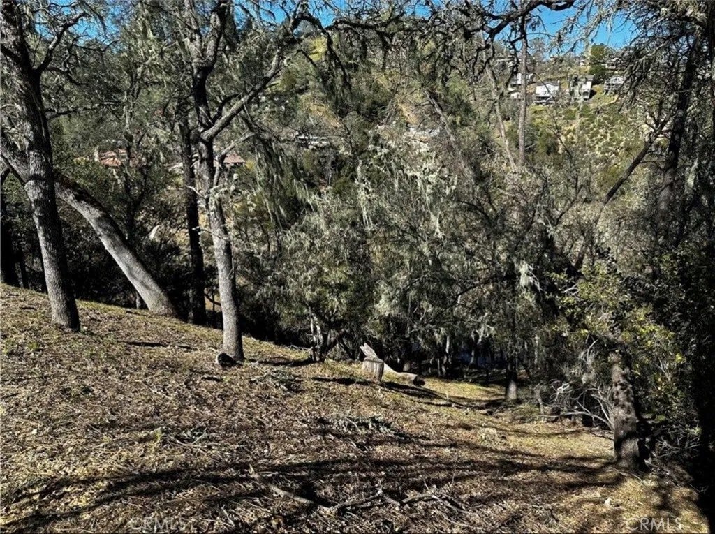 8209 Woody Point