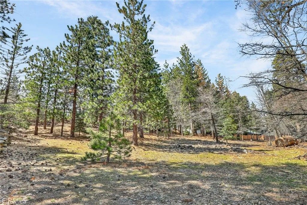 Photo of 0 Cepu, Running Springs, CA 92382 (MLS # IG26068173)