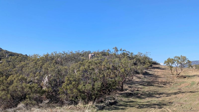 778 Lot on Crazy Horse Canyon 778