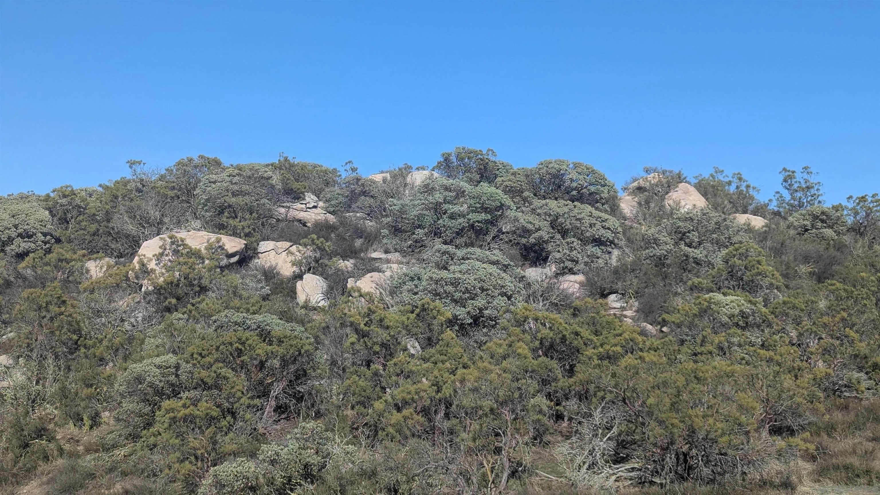 778 Lot on Crazy Horse Canyon 778