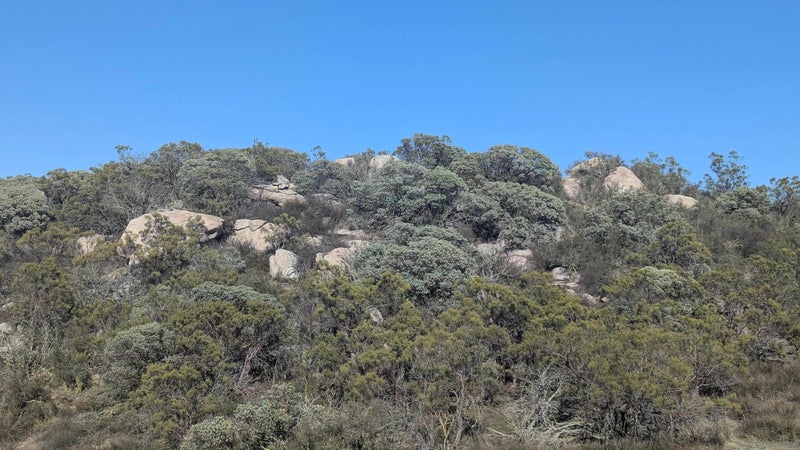 778 Lot on Crazy Horse Canyon 778