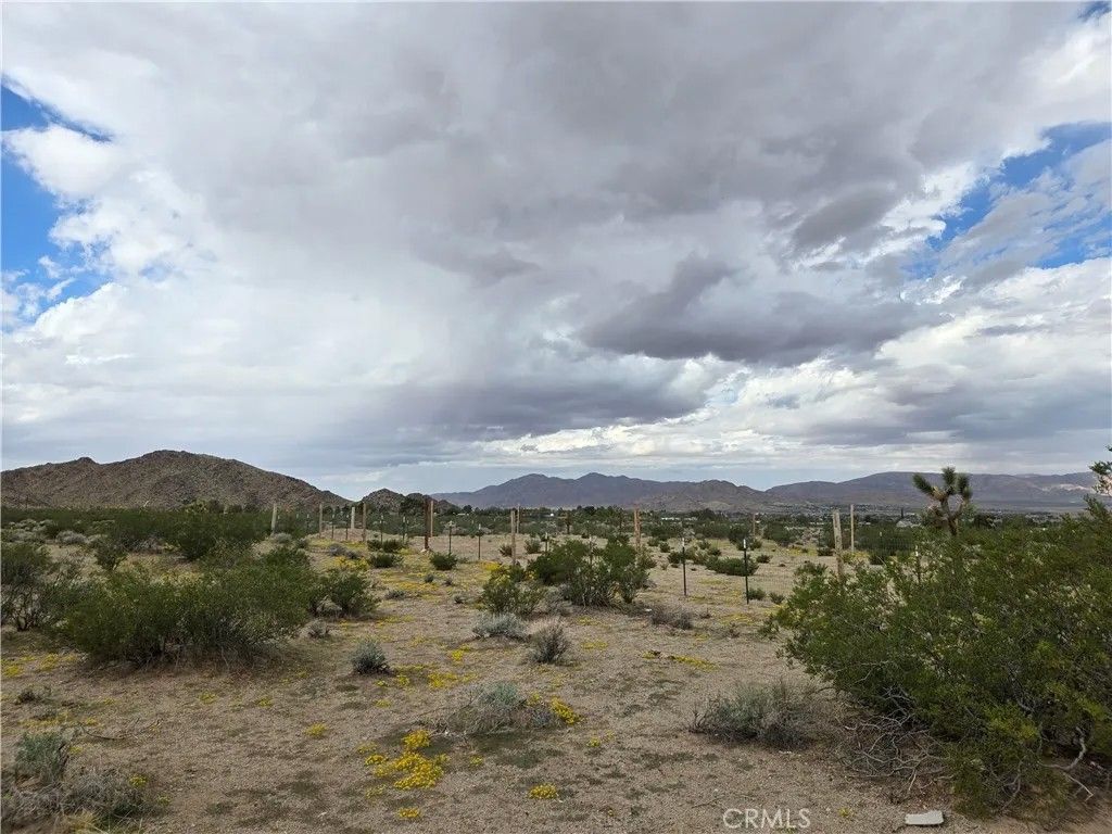 Photo of 9036 Briar Way, Lucerne Valley, CA 92356 (MLS # HD25242131)