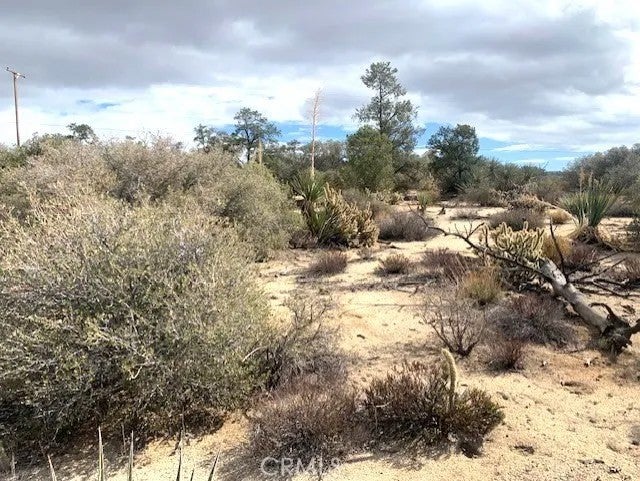 368 Palm Canyon