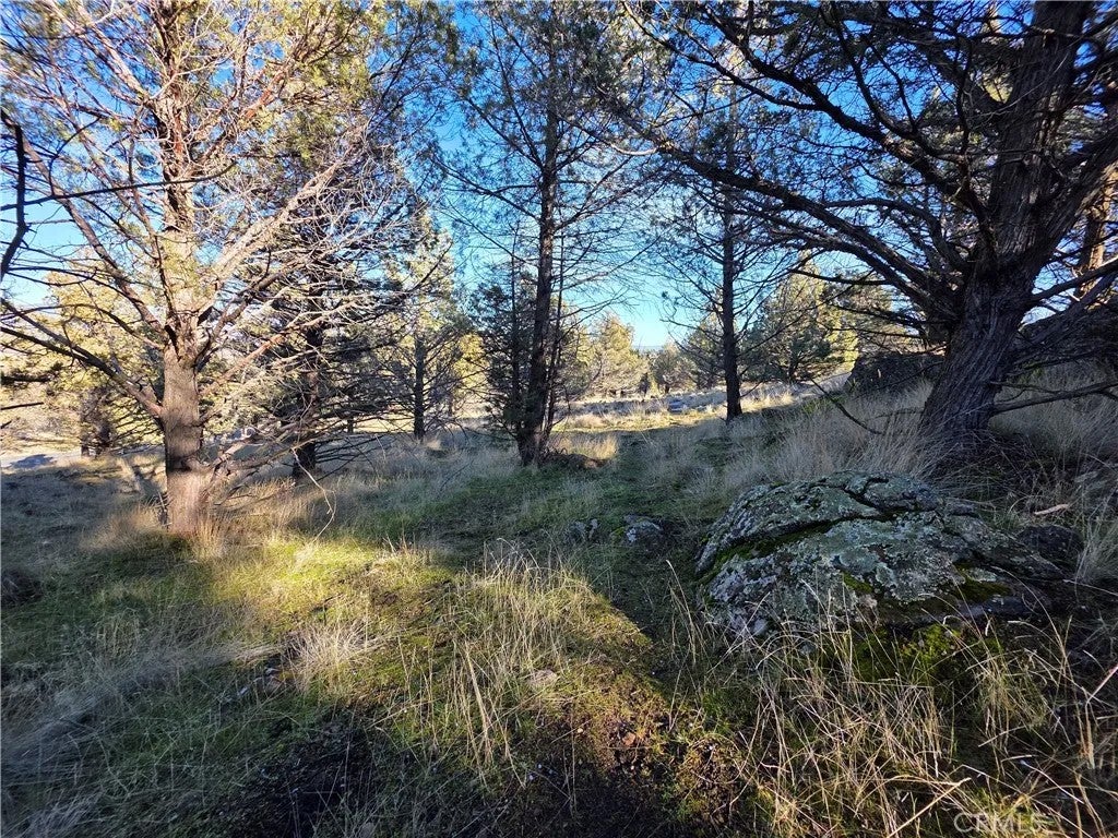 25 Quail Ridge