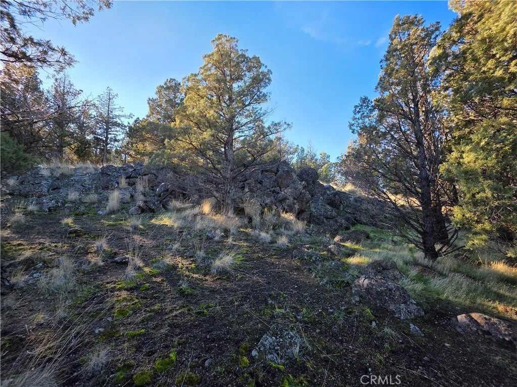 25 Quail Ridge