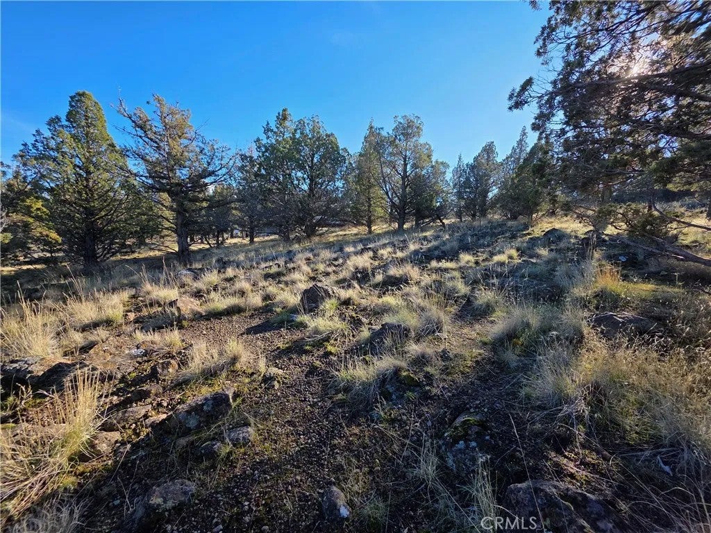 25 Quail Ridge