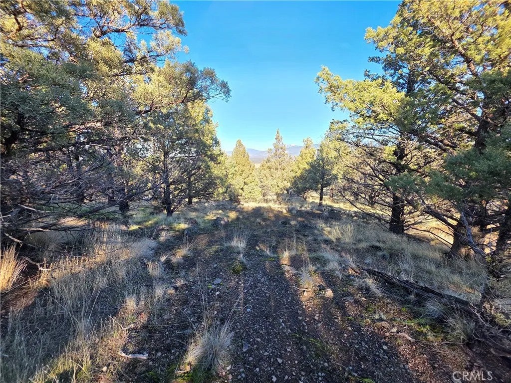25 Quail Ridge