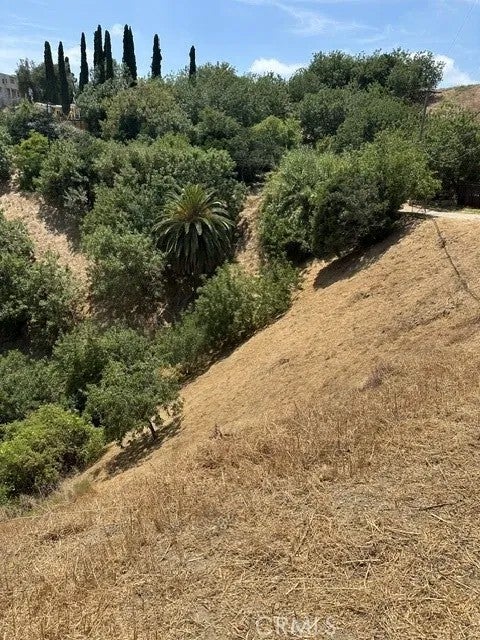 0 near paradise Dr