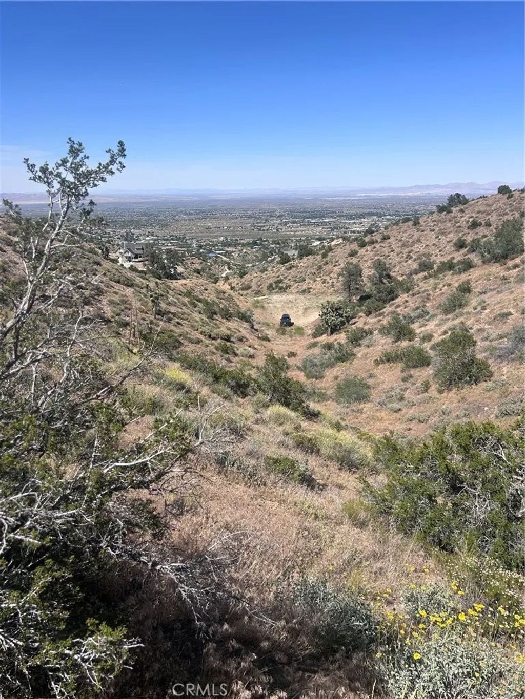 Photo of 0 Jack Frost, Pinon Hills, CA 92372 (MLS # HD26108888)