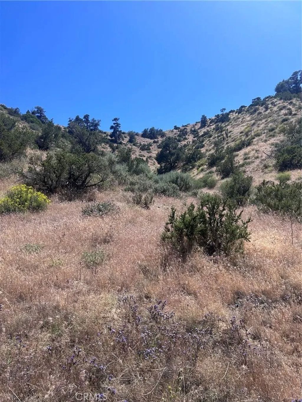 Photo of 0 Jack Frost, Pinon Hills, CA 92372 (MLS # HD26108888)