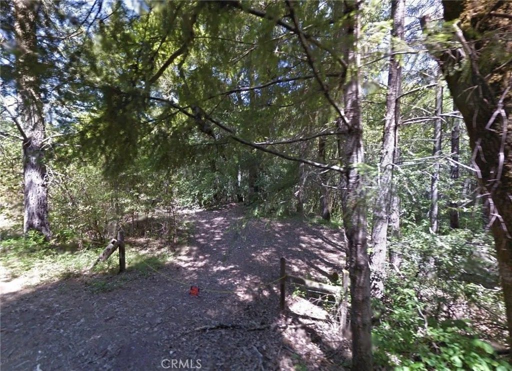 Photo of 2100 Cahto Dr, Laytonville, CA 95454 (MLS # AR26022249)