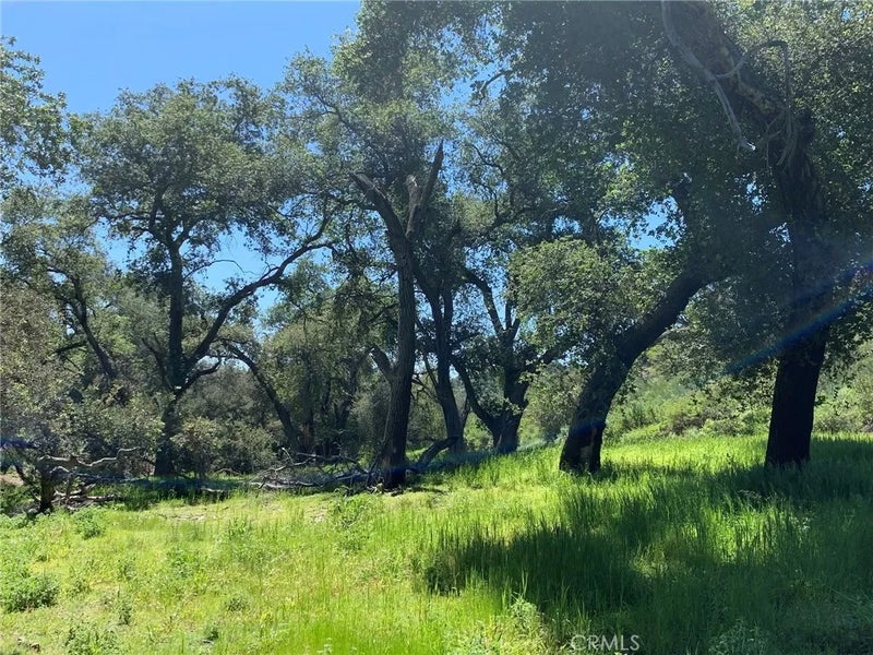 30221 Old Stage Road