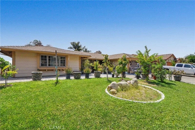 2421 Willow