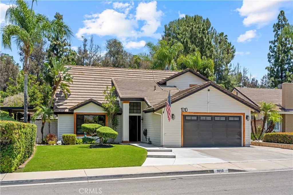 1010 Cogburn