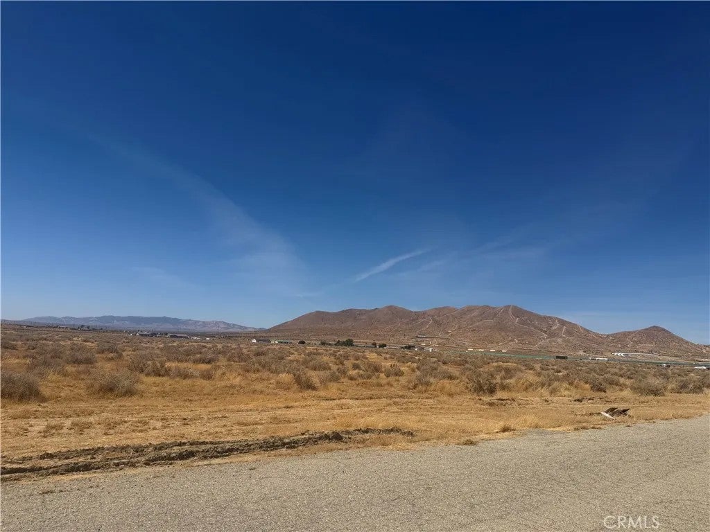 0 Horsethief Trail/Rosamond Blvd