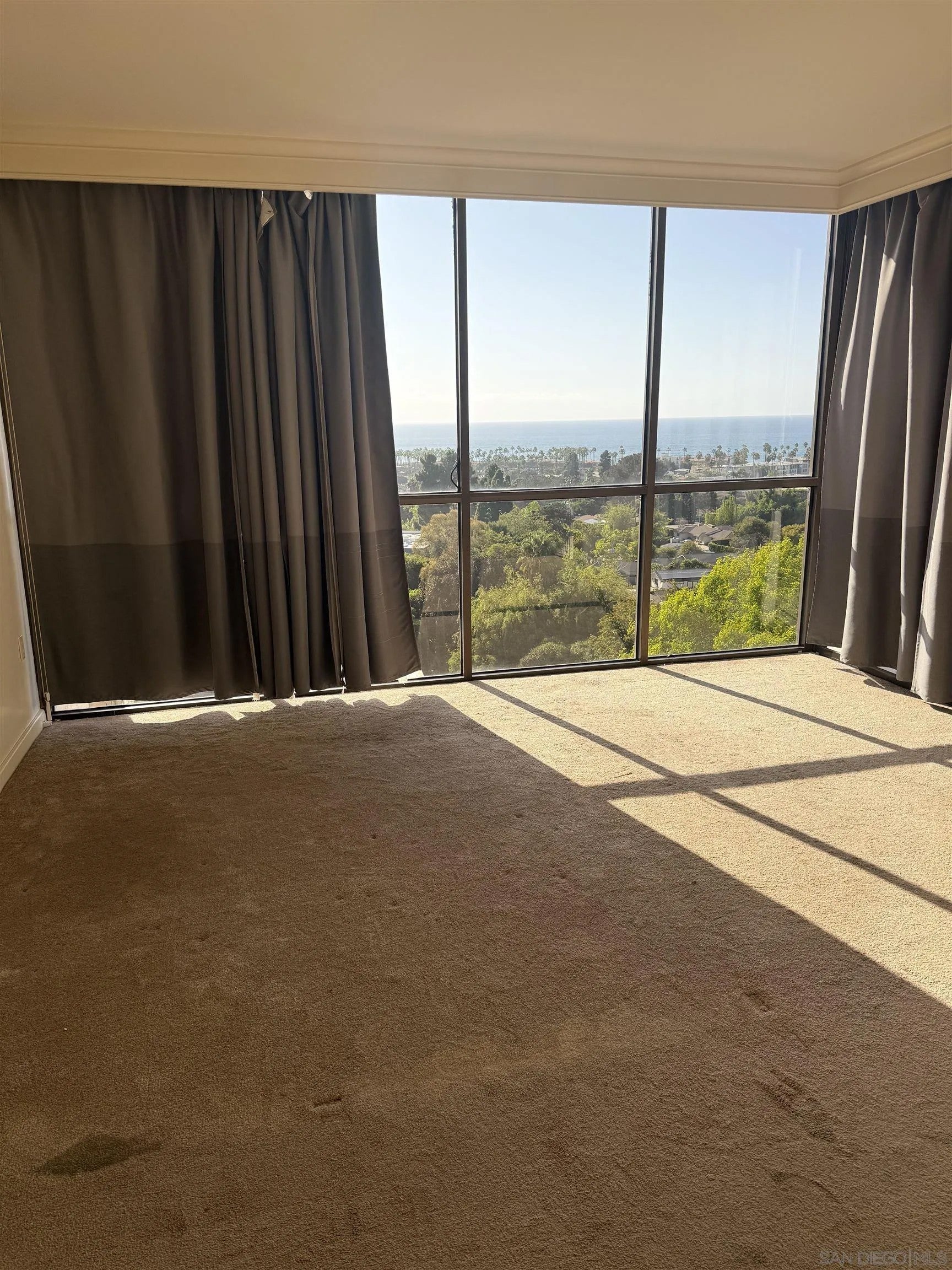 2500 Torrey Pines Rd 803
