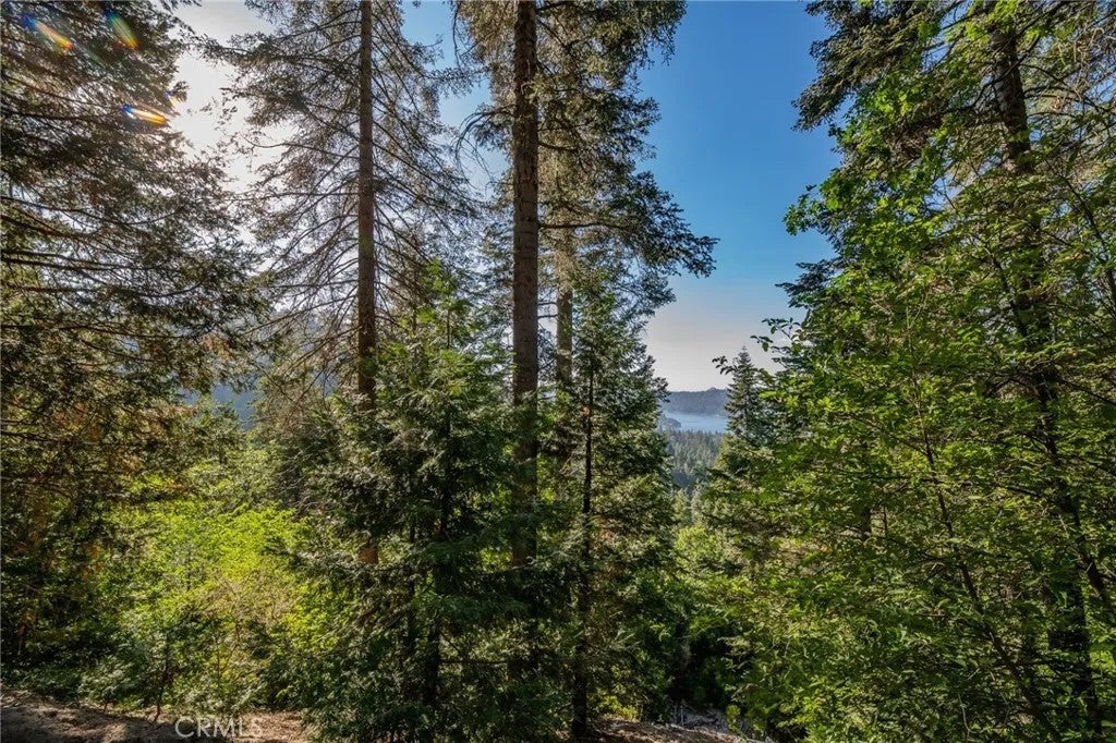 Photo of 716 Blue Ridge, Lake Arrowhead, CA 92385 (MLS # OC26154916)