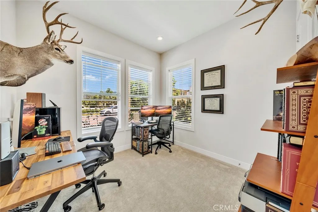 241 Burwood