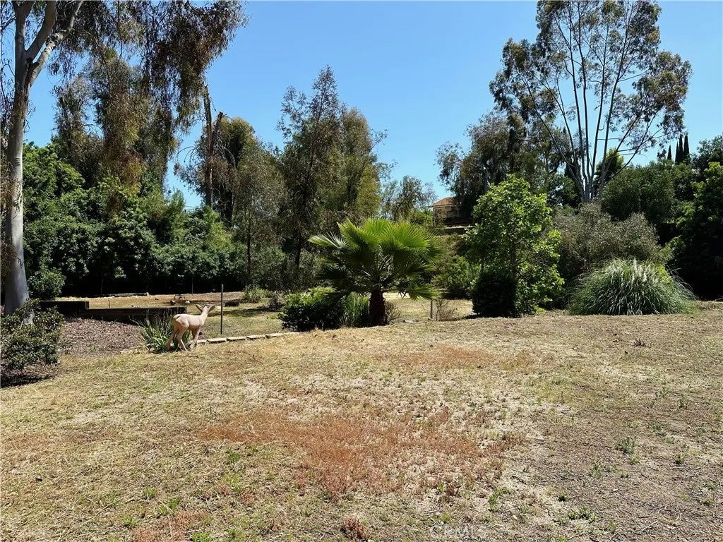 792 El Vallencito Drive
