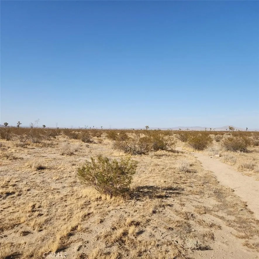 123 Wilson Ranch